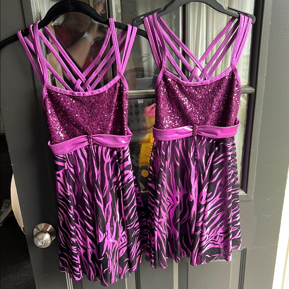 Sparkling Pink Zebra Kids Dance / Skating Costume